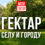 «Мой гектар» и господдержка сельского туризма - Красногорские вести