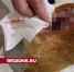 Названы причины, по которым у хозяина могут забрать собаку - Regions.Ru