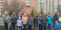 Жители и власти высадили 50 хвойных деревьев на Красногорском бульваре - Regions.Ru