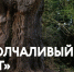 В Музее-заповеднике «Архангельское» можно будет увидеть новинки кино - Городской округ Красногорск