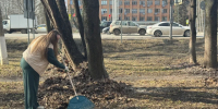 Месячник благоустройства продолжается в Красногорске - Городской округ Красногорск